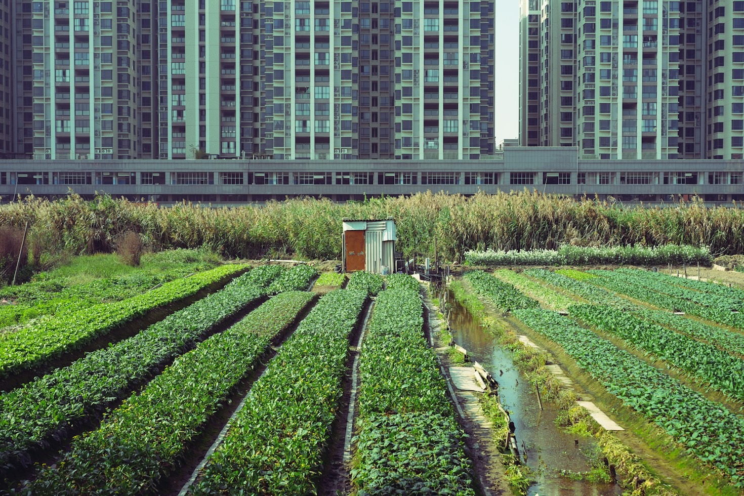 Riscoprire l’Essenziale nel Cuore della Società Moderna